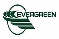 Evergreen International Aviation, Inc.